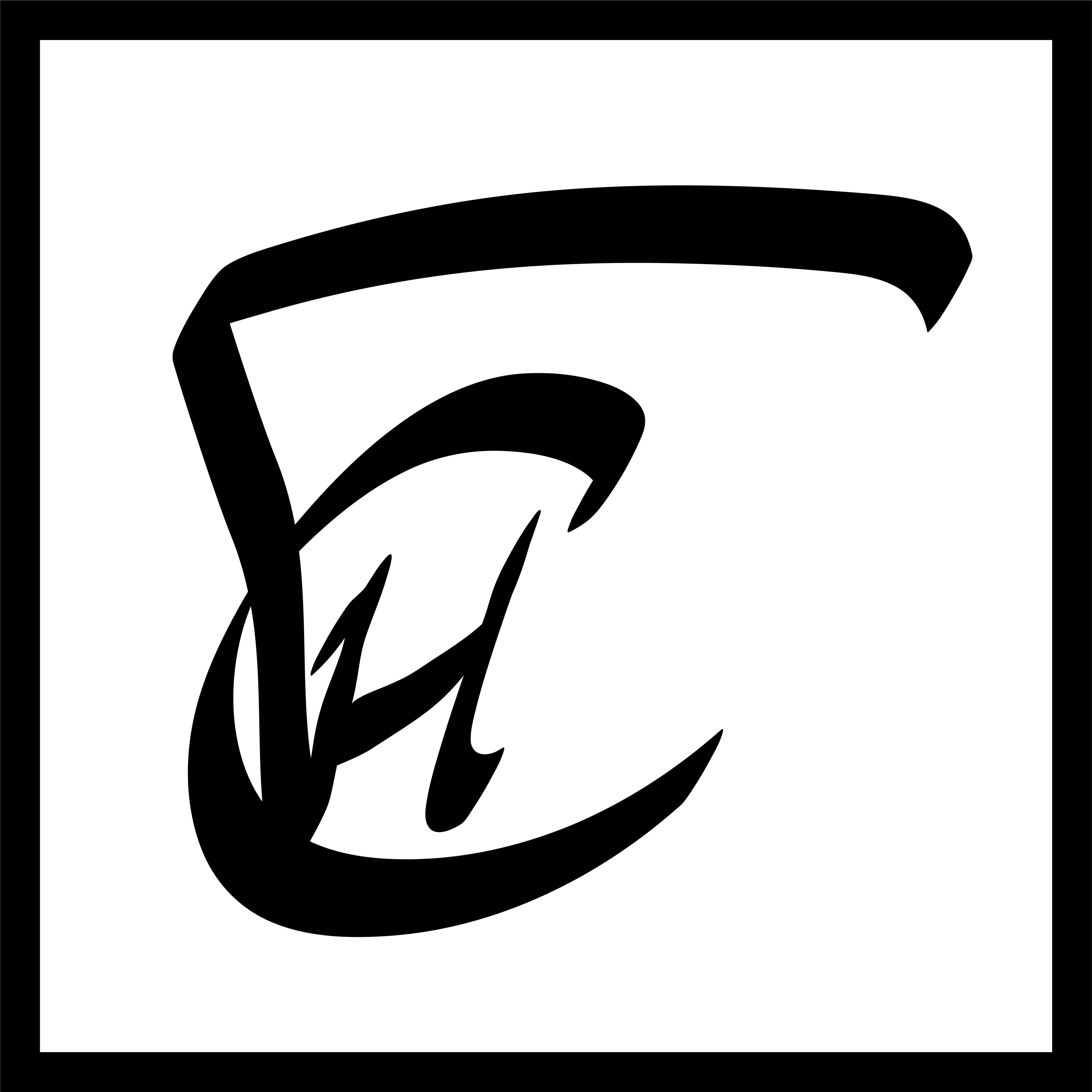 Tom de Haas - Kunstschilder